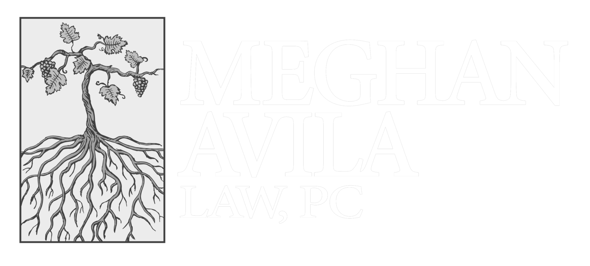 Meghan Avila Law legal services in Napa Valley